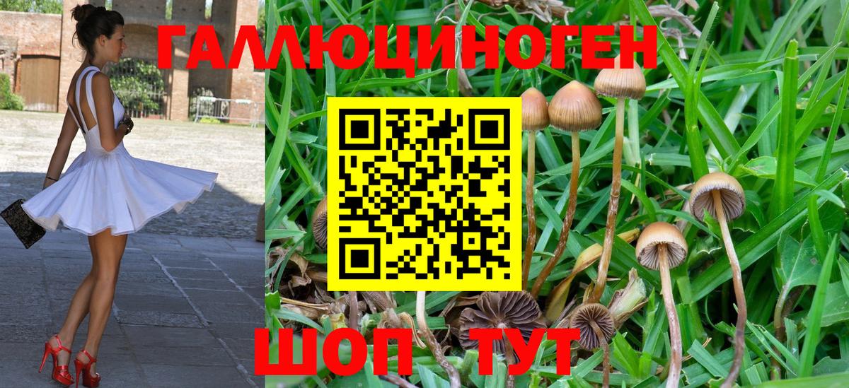 Псилоцибиновые грибы мухоморы  Вход с VPN  Карачаевск 