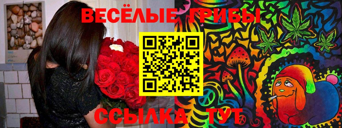 Псилоцибиновые грибы MAGIC MUSHROOMS Карачаевск